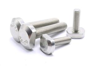 Quality non standard 0.01 mm Plating Stainless Steel Screw Bolt wholesale