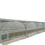 Multi-Span Agricultural Greenhouses Hydroponic Aeroponic Tower Garden for Film
