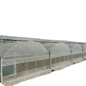 Quality Multi-Span Agricultural Greenhouses Hydroponic Aeroponic Tower Garden for Film Greenhouse wholesale
