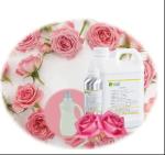 Best Smelling Laundry Detergent Fragrances Pink Rose Detergent Fragrance