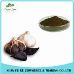 Factory Supply Food Grade High Quality Black Garlic Extract