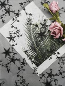 Quality Black Star Shape Sequin Embroidered Fabric wholesale