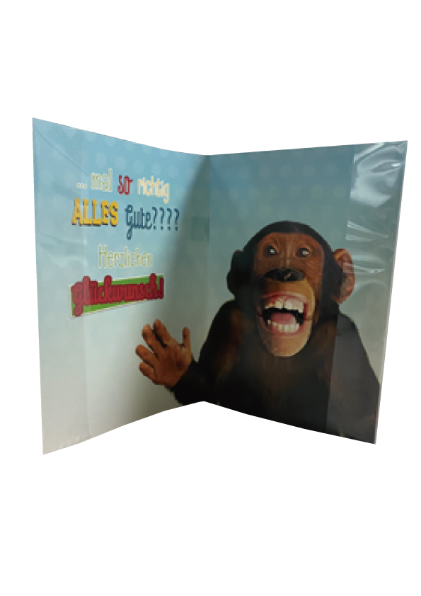 Custom Printing Musical Greeting Card Handmade With Mp4 Player