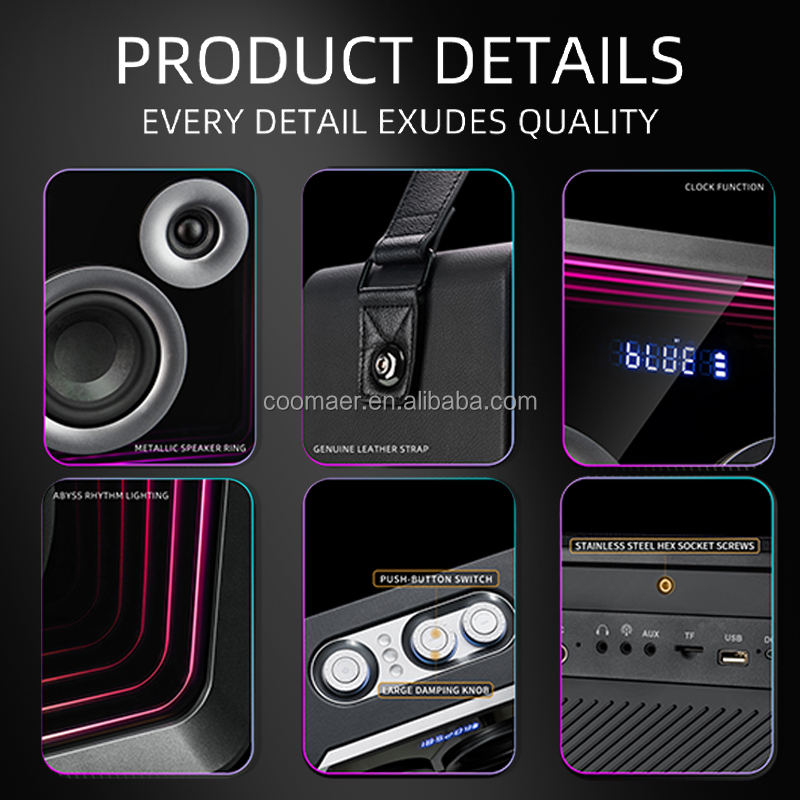 Frequency Response 45Hz-20KHz Portable Wireless Karaoke Speaker for Outdoor Parties