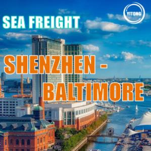 Quality Direct line Sea Freight Logistics From Shenzhen China To Baltimore US 35 days wholesale
