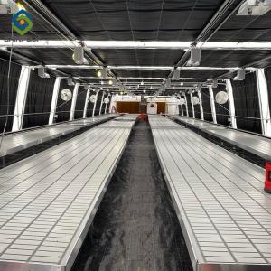 Quality 30m Herbs Hydroponic Blackout Light Deprivation Greenhouse wholesale