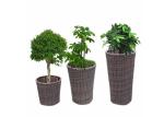 Weather Protection Rattan Planter Furniture