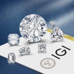 0.5ct 1ct 1.5ct 2ct 3ct White Loose Moissanite Diamond HPHT CVD Lab Grown