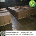 Underlayment plywood