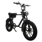 48V 15AH 750W Super 7 3 Fat Wheel Electric Bike With 10 Beams Integrated Wheel