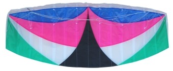 Easy Carry Nylon Material Stunt Kite , Environmental Friendly Beach Kites Durable