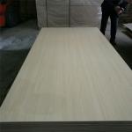 Two Side Melamine Paper Gloss 24mm Laminate Faced Plywood