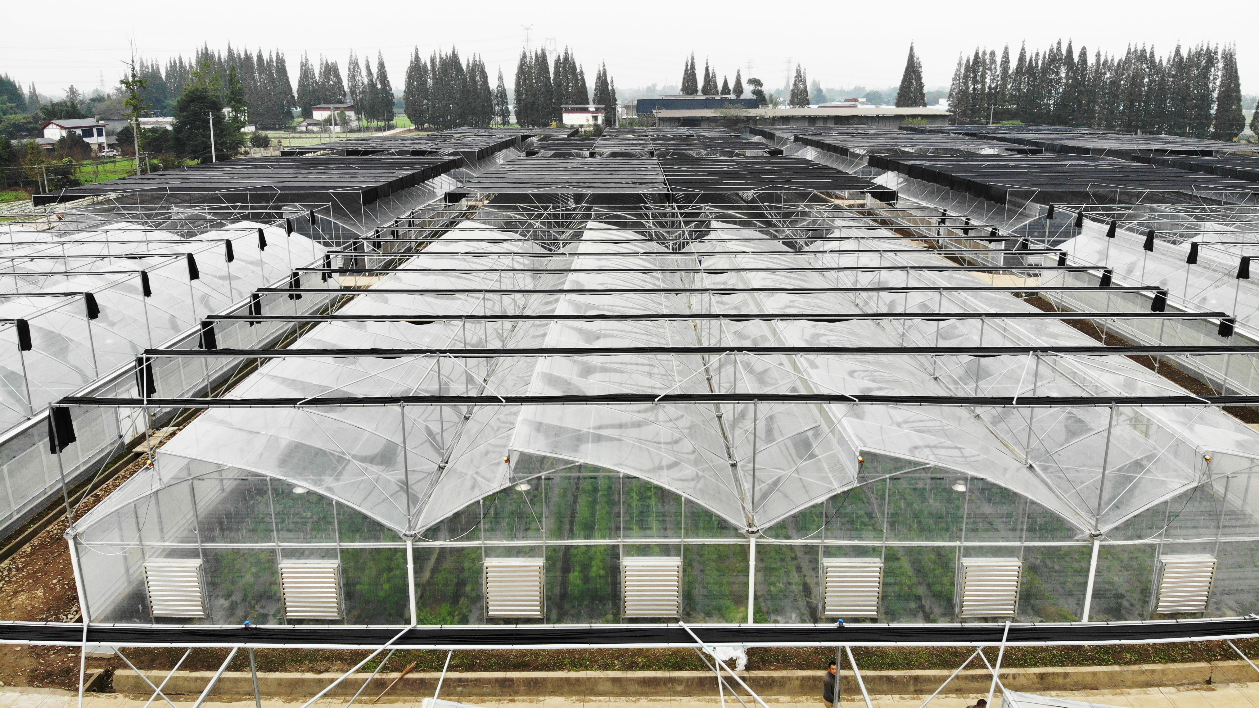 Durable Agriculture UV Resistant Plastic Film Greenhouse Equipment For Vegetables