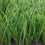 Biocolor Anti Corrosive Artificial Grass Football Field For Playground
