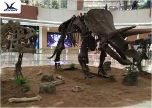 Quality Amusement Park Facility Life Size Dinosaur Skeleton Replica Artificial Replica Model wholesale