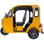 Track Electric Sightseeing Car Semi-enclosed Tourist eTrike Adult eCar