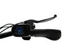DOMANCA/ 2024 Kenda 36V Style Electric Scooter Top Selling Fashionable