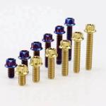 Titanium Flange Bolts With Nuts And Washers Tuning Racing Auto Bike Motorcycle
