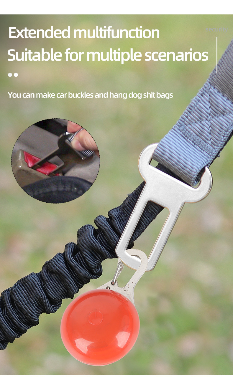 Pet Multifunctional Contrasting Color Leashes Imitation Nylon Hollow Webbing Explosion Proof Dog Walking Leash
