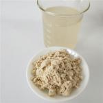 avocado powder buy best dried avocado powder health benefits supplement products