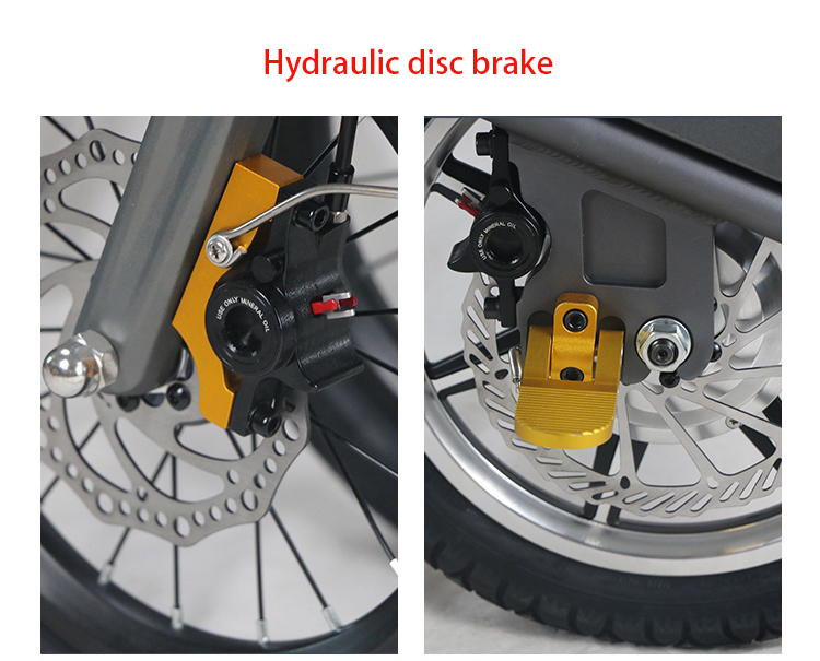 Folding Portable Electric Tricycle Bike 350W 48V Motor LCD Display
