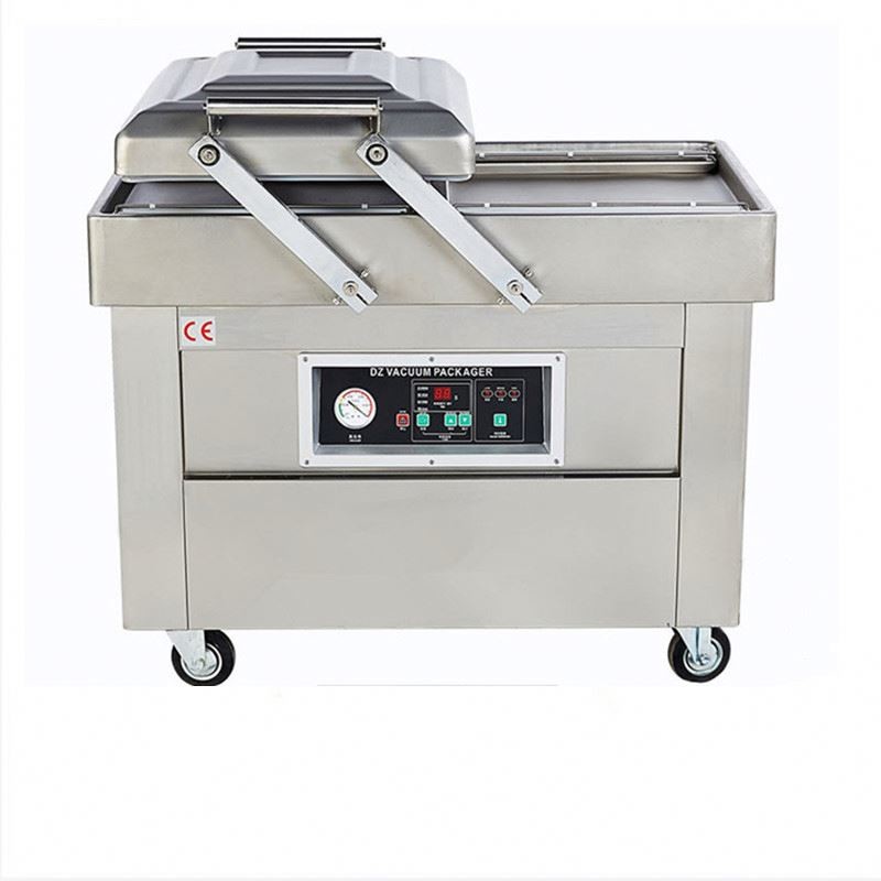 Double Chamber Vacuum Nitrogen Sealer For Food Fish DZ-500/2SB