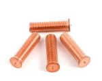 Grade 4.8 Combination Screw Bolt