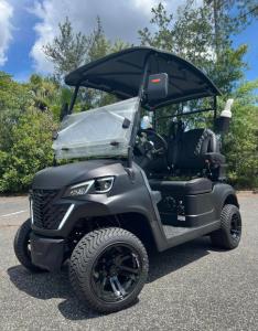 Quality 2 Passenger Golf Cart Electric 4kw Power Small Off Road Premium Quality 60V 100AH wholesale