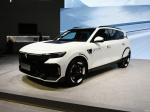 VOYAH Free Electric Vehicle 4WD Electric Sport Utility Vehicle