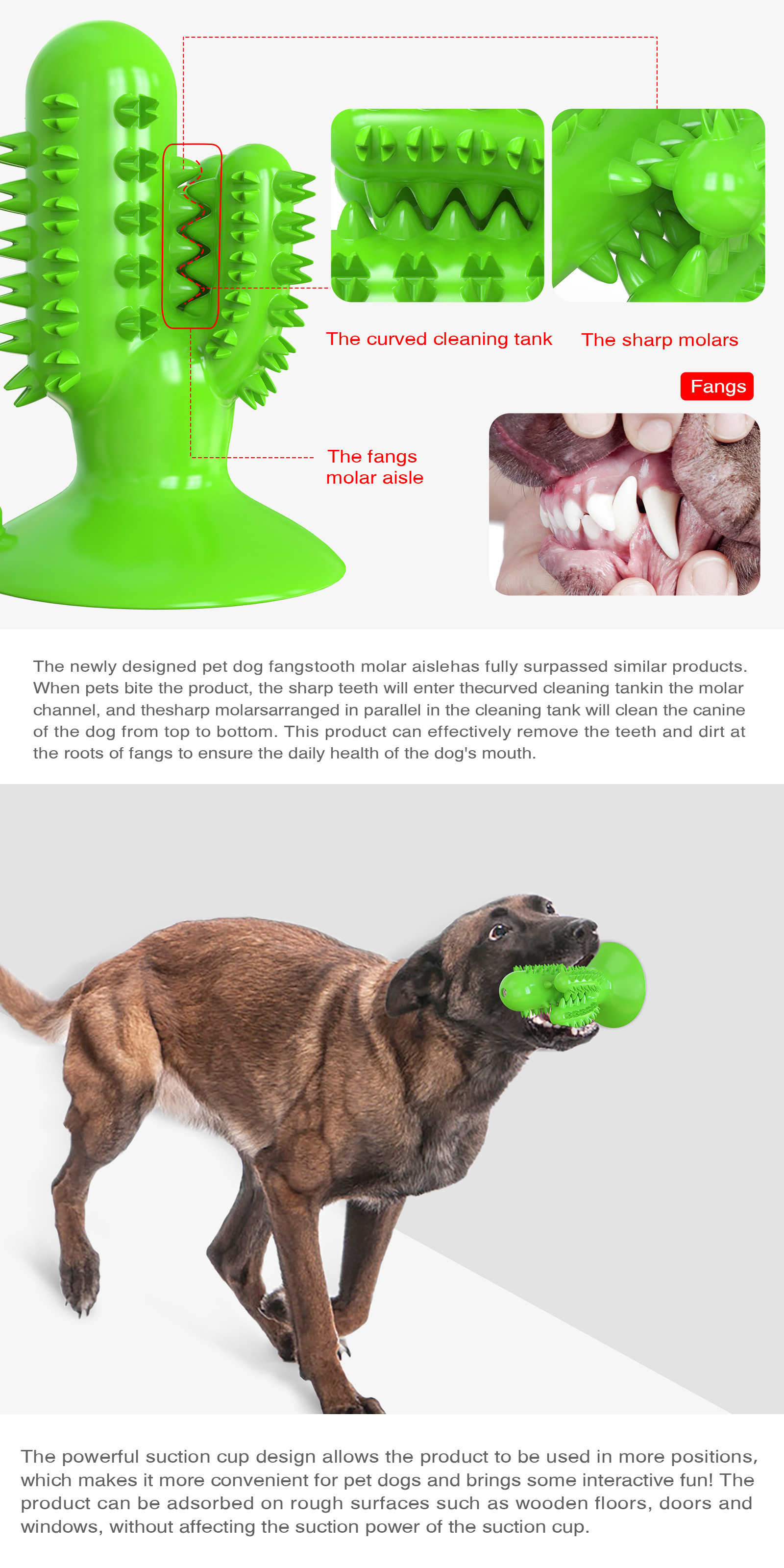 Cactus Dog Teeth Cleaning Chew Toy Squeaky Rubber Relieve Anxiety TPR OEM
