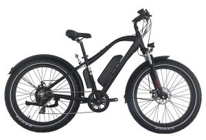 Quality 48V 750W Mountain E Bike with Tektro Hydraulic Brake system wholesale