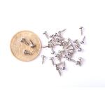 Nickel Plated Surface Treatment High Precision Mini Screw Cylindrical Head Cross