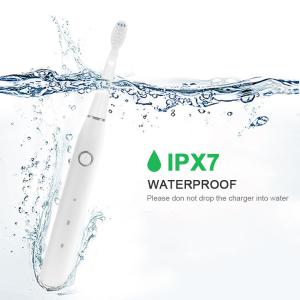 Quality Slim Portable Sonic Automatic Toothbrush 500mAh Wear Resistant wholesale