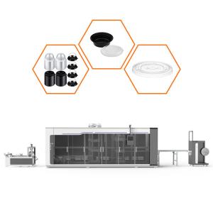 Quality Stable Operation Disposable Thermoforming Machine Plastic Cup Thermoforming Machine wholesale