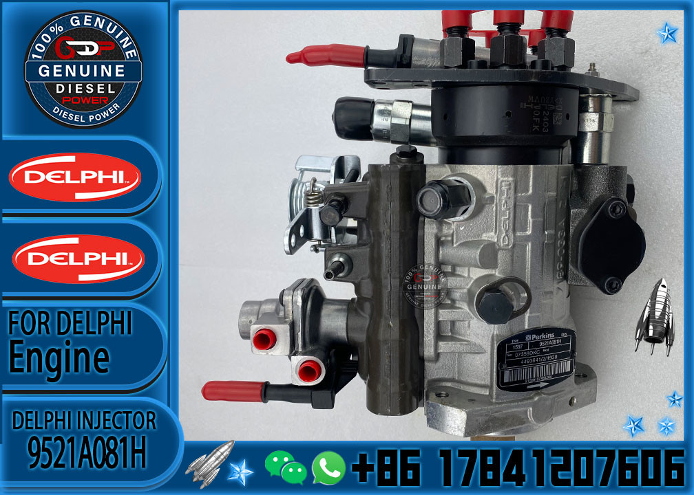 Diesel Fuel Pump 9521A081H 449364128283387 Pump for Perkins E320D2 Excavator injection pump 9521A081H