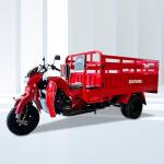 800W DAYANG Heavy Loading Truck Tricycle Three Wheel Cargo Motorized 201 250cc
