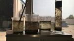 Gold / Diamond Mining Coagulant And Flocculant Wastewater Treatment Polyacrylami