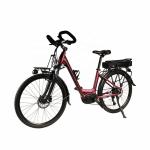 48V 20.4Ah Mid Drive Electric Bike 700C Hydraulic Disc Brake Bicycle With