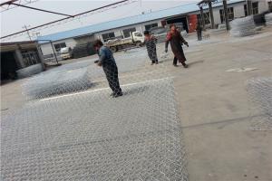 Quality 80*100mm Gabion Double Twisted Mesh Gabion Baskets Rock Fall Mesh wholesale