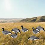 Grey Canada Snow Goose Hunting Decoy With Flocked Head Upright Or Feeder Body