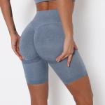 High Waisted Seamless Yoga Wear Gym Short Legging Yoga Shorts For Women
