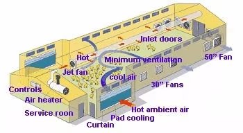 Safety Steel Structure Chicken House Lightweight Steel Frame Building