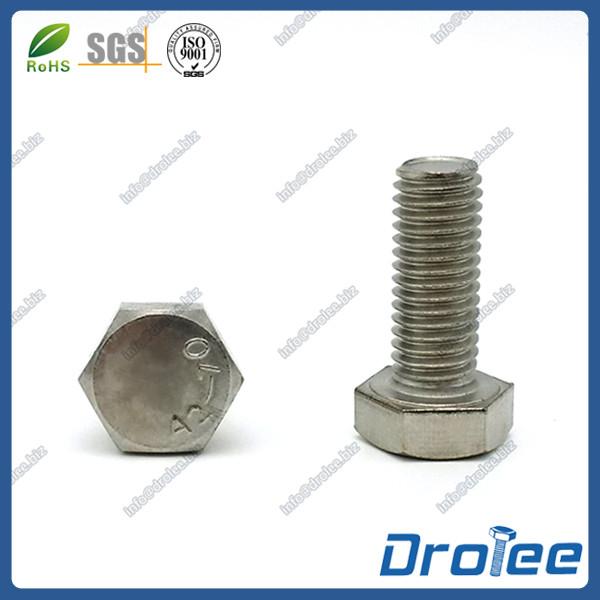 18-8 / 304 / 316 Stainless Steel Hex Cap Bolts