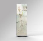 HD Shopping Mall LED poster Commercial Publicity 3840Hz Indoor Usage Advertising