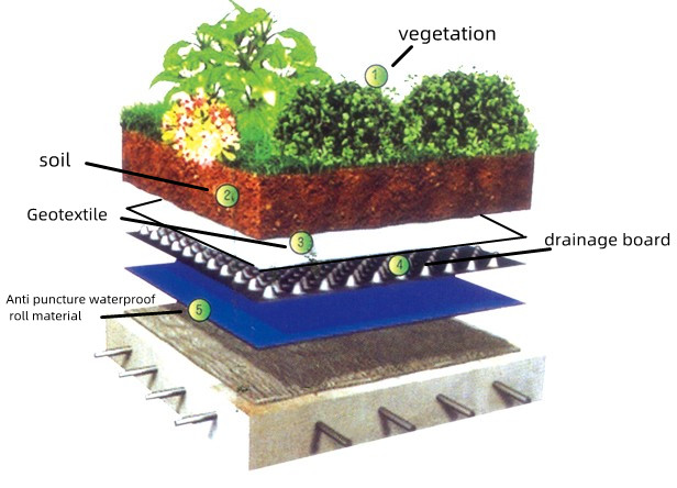 Plastic Drainage Board for Green Roofs Customized Dimple Waterproof HDPE Drain Board