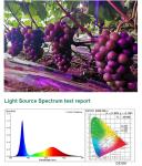 High Luminous Flux 48000lm 36W Greenhouse Seedling Plant Growth Lamp with 2-