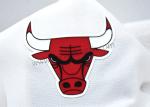 Realistic TPU Heat Transfer Label Animal 2D 3D Bull Head Pattern