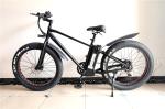 500W 750W Fat Tyre Electric Sport Bike With Double Disc Brake LCD Display High