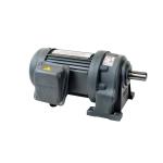 Helical Motors Medium Reduction Gear Motor Variable Speed