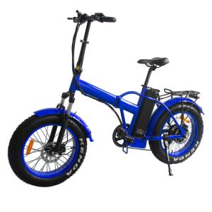 Quality Two-Wheel Foldable Portable Electric Bike 40 Mile Range 48V 500W Rear Motor 20in wholesale